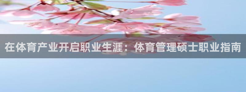 必一体育最新官网入口