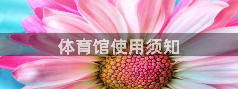 必一体育sport官网