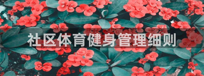 必一体育下载：社区体