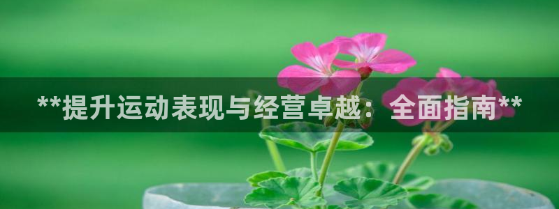必一体育网页登录版官