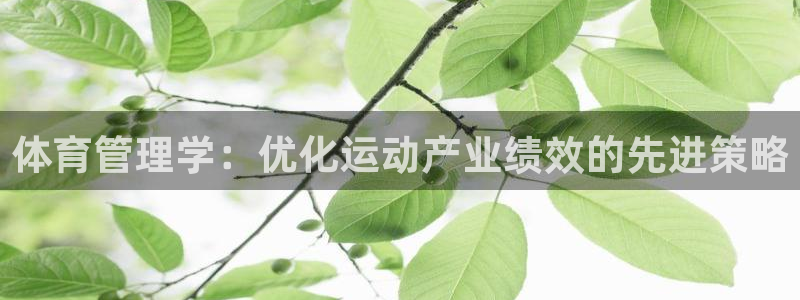 必一体育手机下载：体