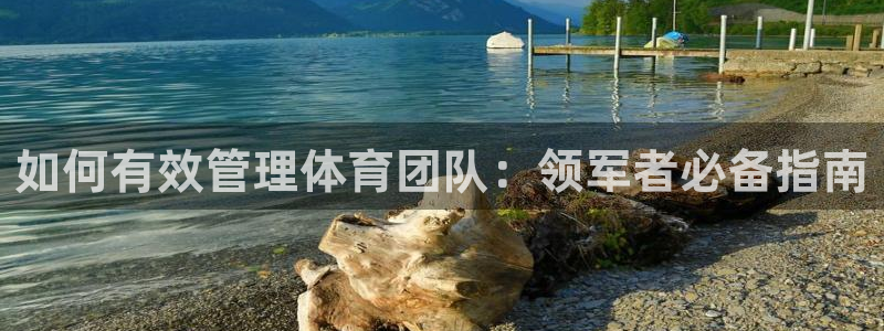 b体育官网下载入口app必一