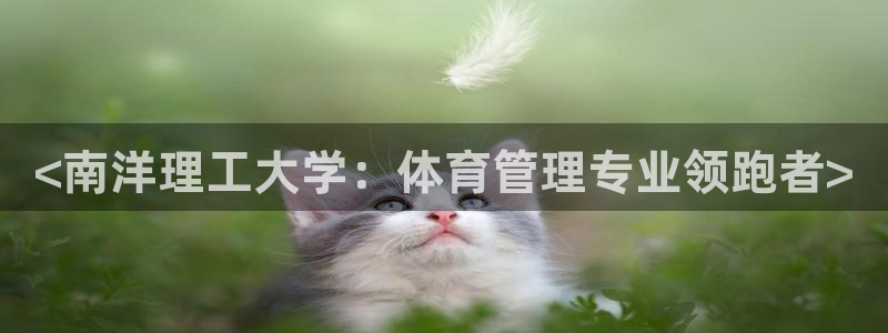 必一体育登录入口