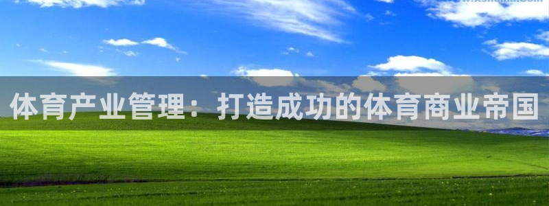 必一体育官网网址