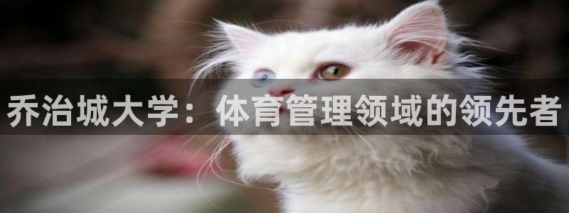 必一体育合法吗