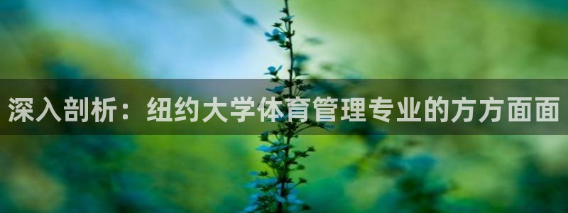 必一体育在线下载