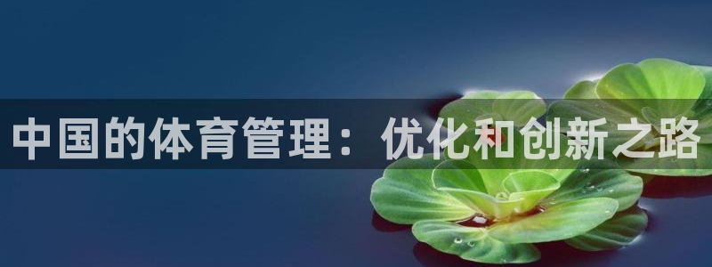 必一体育黑平台：中国