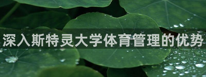 必一体育运动平台官网