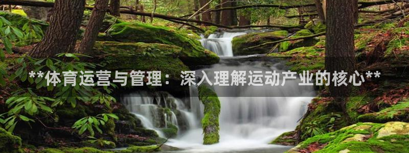 必一体育登陆：**体