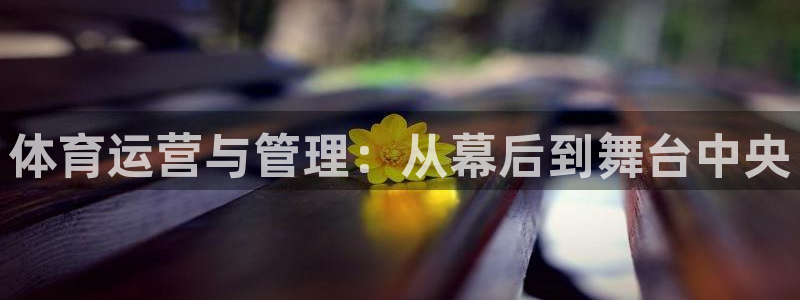 必一体育登录：体育运
