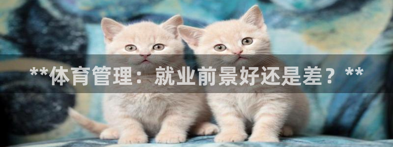 必一运动体育官网：*