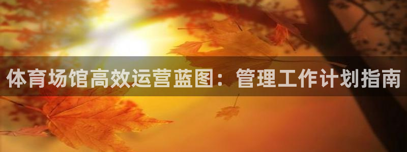 必一运动官网入口：体