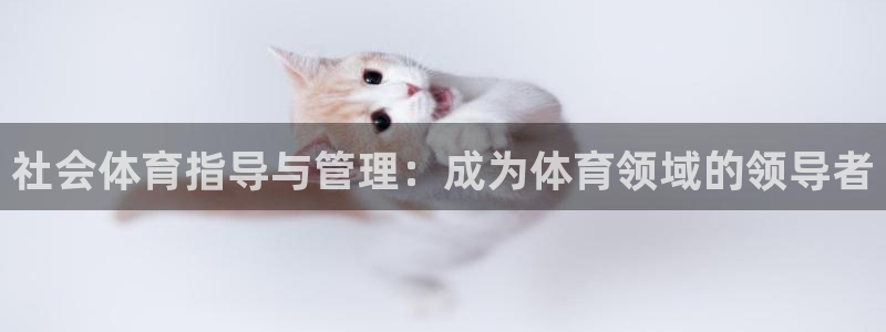b体育必一运动网页版