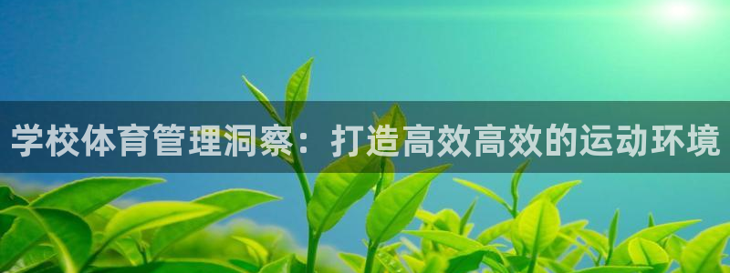 必一体育官网入口：学
