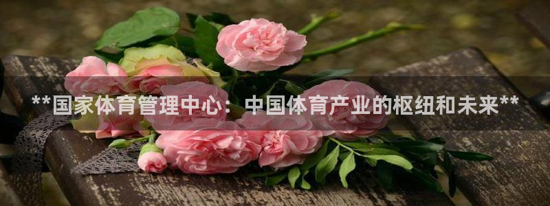 必一体育网页登陆：*