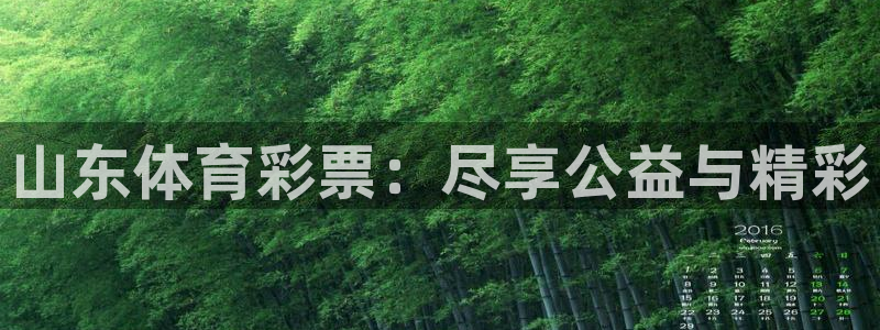 必一体育能提现大金额