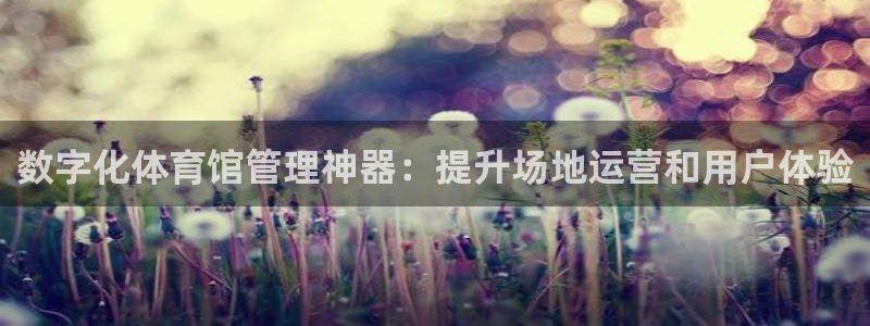 必一体育下载：数字化