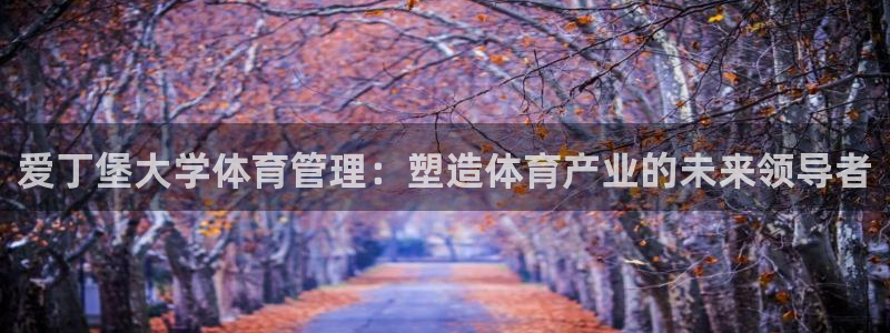 必一体育网页登陆：爱