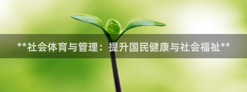 必一体育网页