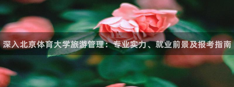 必一体育在线入口