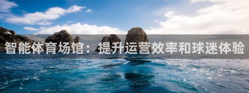 必一体育是哪里的台子