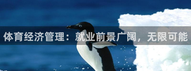 必一体育官网ios下