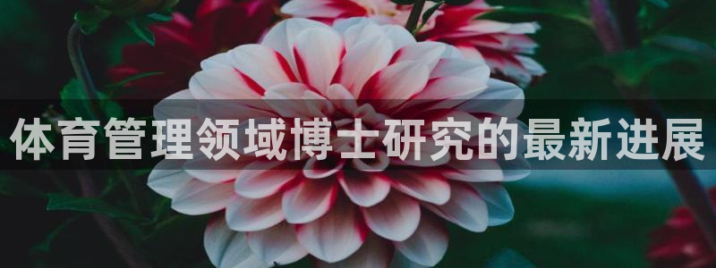 必一体育官方入口：体