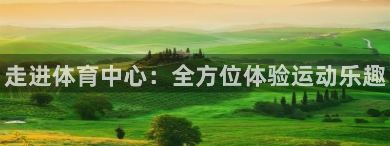 必一体育黑平台