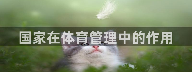 必一体育网页版登录
