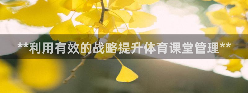 必一体育网页：**利