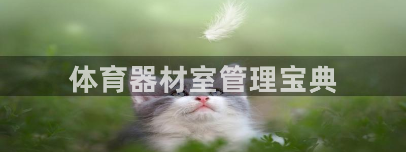 必一体育登录入口AP