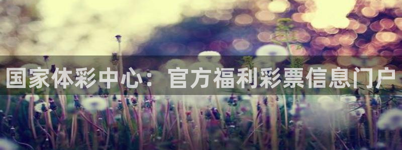 必一体育合法吗