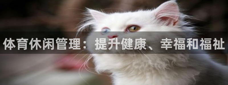 必一体育网页登陆：体
