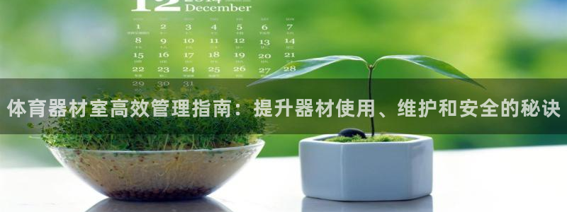 必一体育网址：体育器