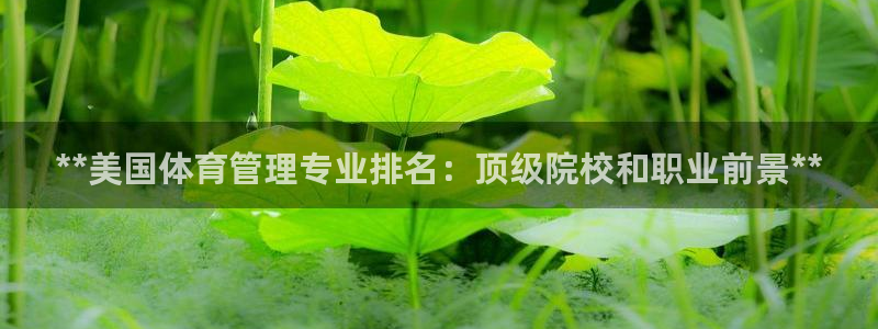 必一运动bsport