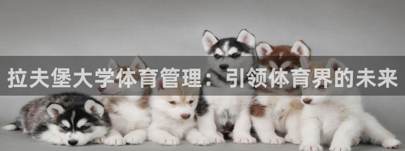 必一体育手机下载