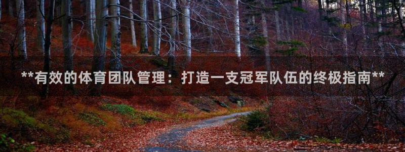 必一体育网址：**有