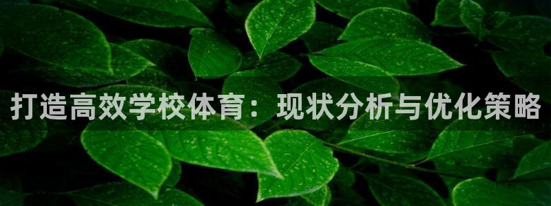 Bsport体育必一