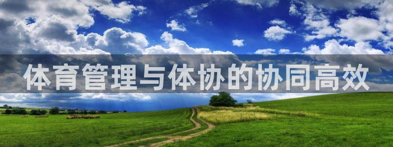 必一体育官网网址