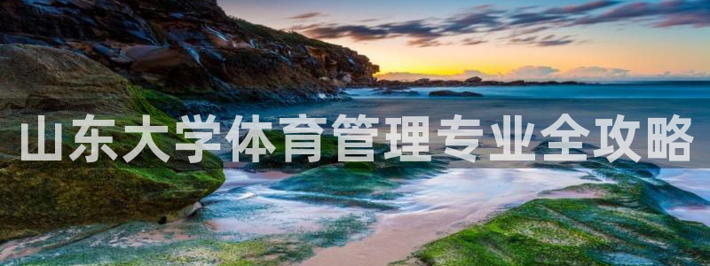 必一体育官网app