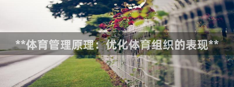 必一体育sportB