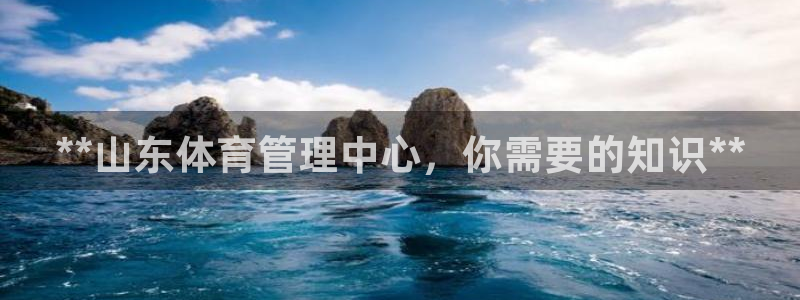 必一体育在线玩