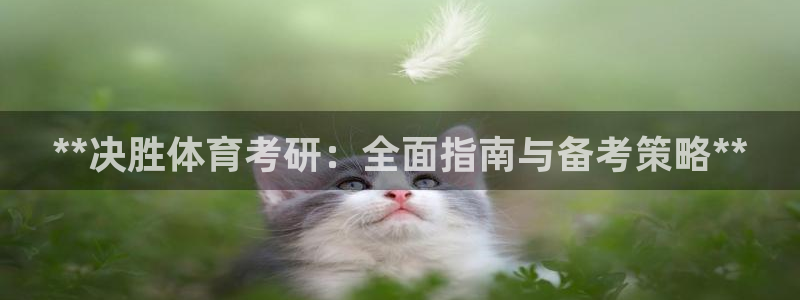 必一体育官网ios下