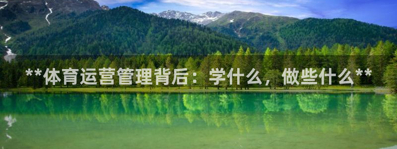 必一体育官方网站入口