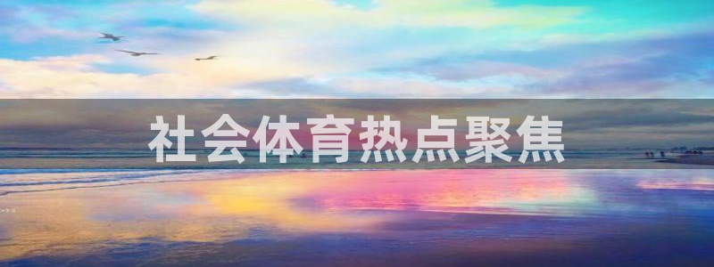 必一体育电子app：