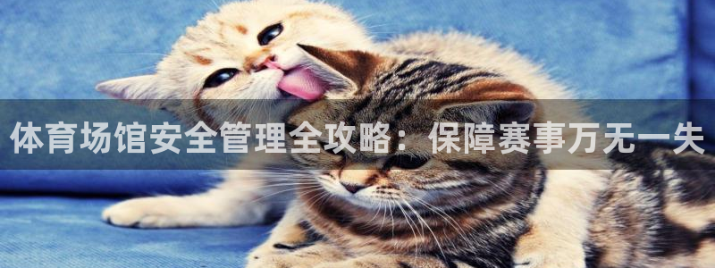 必一体育平台