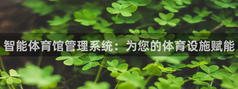 必一体育网页登陆：智