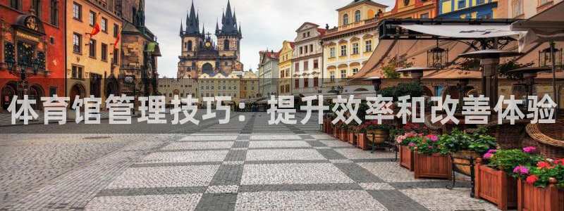 必一体育最新官网入口首页