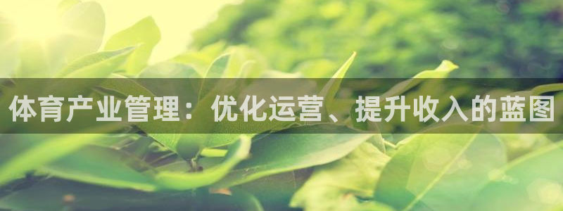 必一体育秀给网：体育