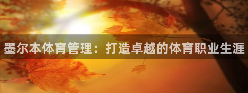 必一运动 b 体育素